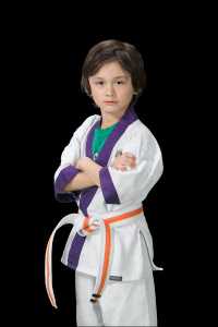 The Benefits of Martial Arts for Kids